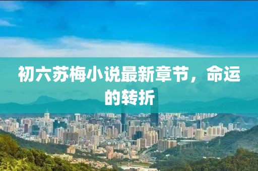 初六蘇梅小說(shuō)最新章節(jié)，命運(yùn)的轉(zhuǎn)折