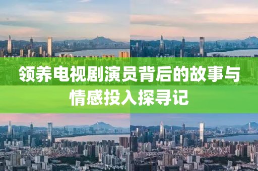 領(lǐng)養(yǎng)電視劇演員背后的故事與情感投入探尋記