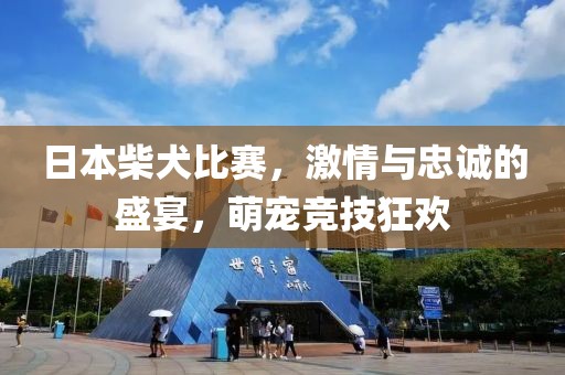 日本柴犬比賽，激情與忠誠的盛宴，萌寵競技狂歡