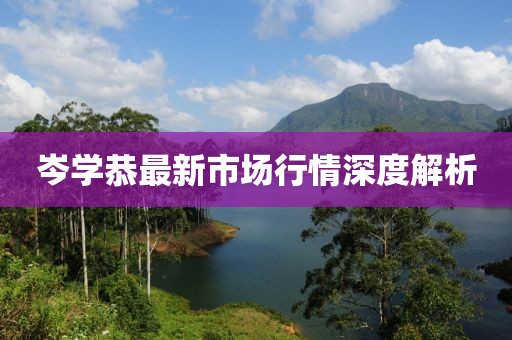 岑學恭最新市場行情深度解析