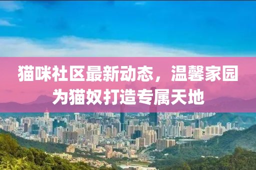 貓咪社區(qū)最新動(dòng)態(tài)，溫馨家園為貓奴打造專屬天地