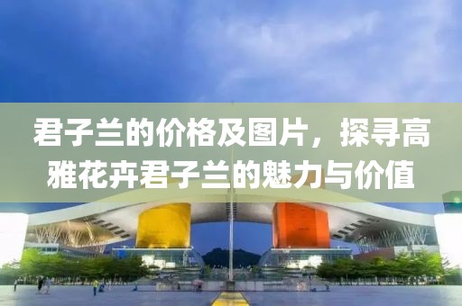 君子蘭的價格及圖片，探尋高雅花卉君子蘭的魅力與價值