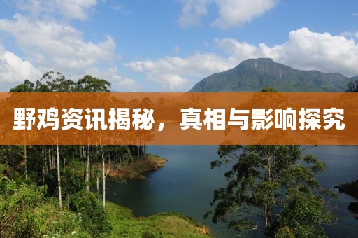 野雞資訊揭秘，真相與影響探究