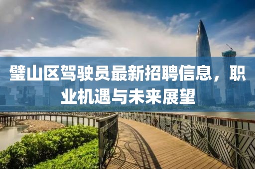 璧山區(qū)駕駛員最新招聘信息，職業(yè)機(jī)遇與未來(lái)展望