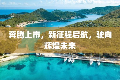 奔騰上市，新征程啟航，駛向輝煌未來(lái)