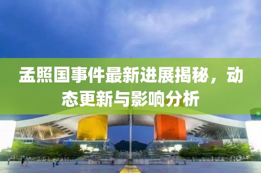 孟照國事件最新進展揭秘，動態(tài)更新與影響分析