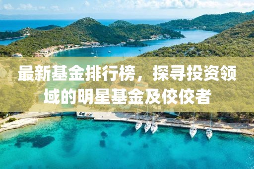 最新基金排行榜，探尋投資領(lǐng)域的明星基金及佼佼者
