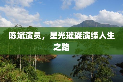陳斌演員，星光璀璨演繹人生之路