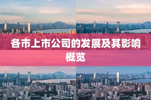 各市上市公司的發(fā)展及其影響概覽