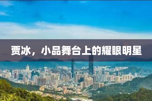 賈冰，小品舞臺上的耀眼明星