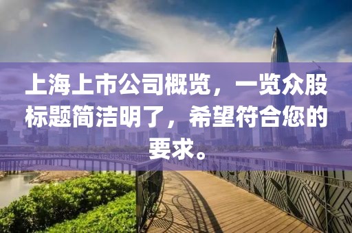 上海上市公司概覽，一覽眾股標題簡潔明了，希望符合您的要求。
