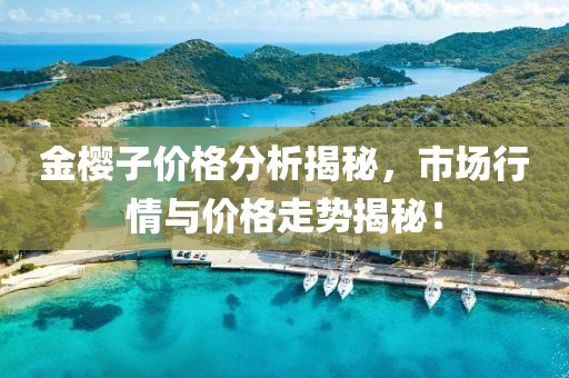 金櫻子價(jià)格分析揭秘，市場(chǎng)行情與價(jià)格走勢(shì)揭秘！