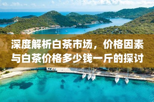 深度解析白茶市場，價(jià)格因素與白茶價(jià)格多少錢一斤的探討