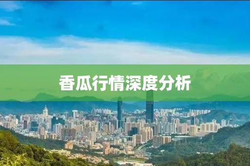 香瓜行情深度分析
