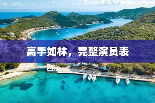 高手如林，完整演員表