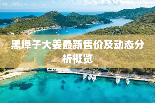 黑埠子大姜最新售價及動態(tài)分析概覽