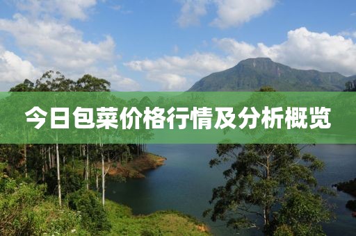 今日包菜價(jià)格行情及分析概覽