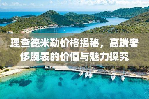 理查德米勒價(jià)格揭秘，高端奢侈腕表的價(jià)值與魅力探究
