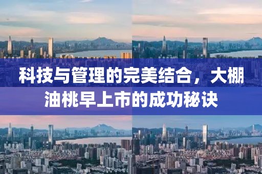 2025年2月 第46頁