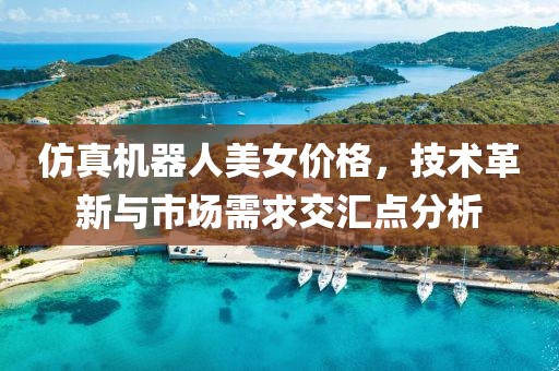 仿真機(jī)器人美女價(jià)格，技術(shù)革新與市場(chǎng)需求交匯點(diǎn)分析