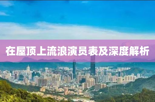 在屋頂上流浪演員表及深度解析