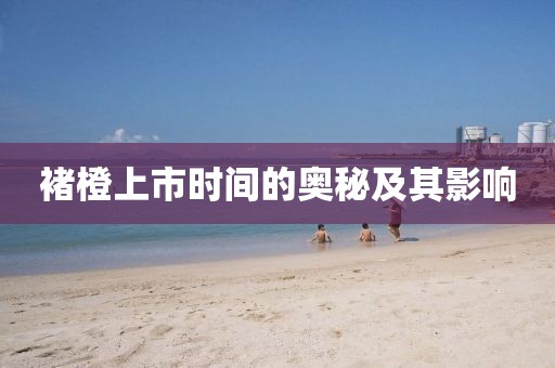 褚橙上市時間的奧秘及其影響