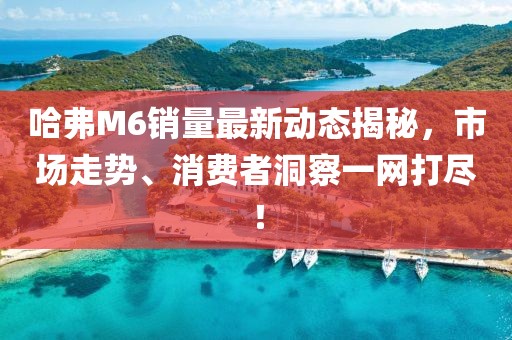 哈弗M6銷量最新動態(tài)揭秘，市場走勢、消費者洞察一網(wǎng)打盡！