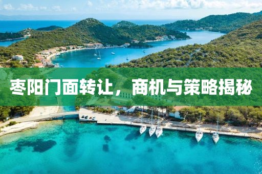 棗陽(yáng)門面轉(zhuǎn)讓，商機(jī)與策略揭秘