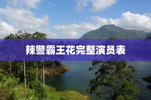 辣警霸王花完整演員表