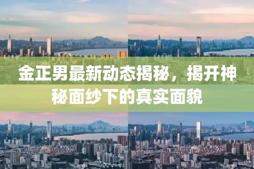 金正男最新動(dòng)態(tài)揭秘，揭開神秘面紗下的真實(shí)面貌