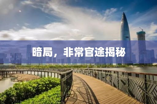 暗局，非常官途揭秘