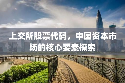 上交所股票代碼，中國(guó)資本市場(chǎng)的核心要素探索
