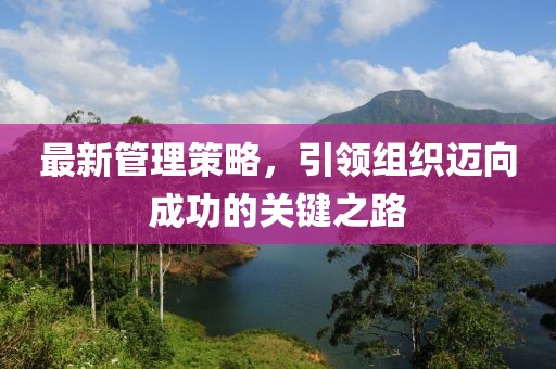 最新管理策略，引領(lǐng)組織邁向成功的關(guān)鍵之路