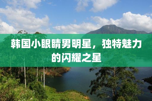 韓國小眼睛男明星，獨(dú)特魅力的閃耀之星