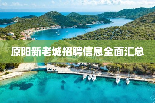 原陽新老城招聘信息全面匯總
