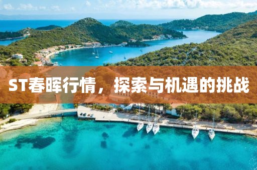 ST春暉行情，探索與機(jī)遇的挑戰(zhàn)