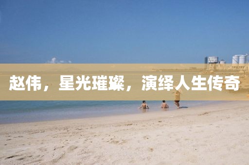 趙偉，星光璀璨，演繹人生傳奇