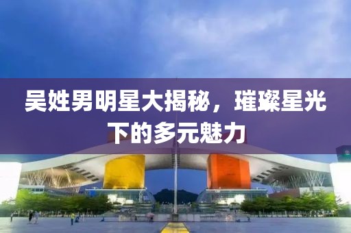 吳姓男明星大揭秘，璀璨星光下的多元魅力