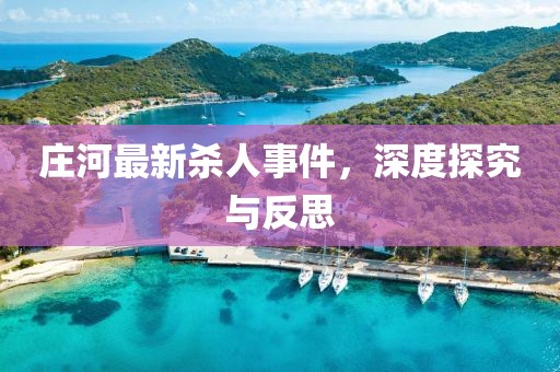 莊河最新殺人事件，深度探究與反思