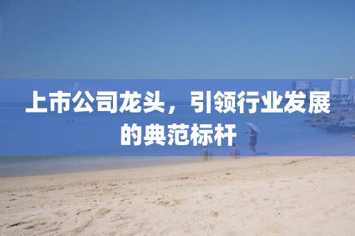 上市公司龍頭，引領(lǐng)行業(yè)發(fā)展的典范標桿