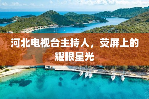 河北電視臺(tái)主持人，熒屏上的耀眼星光
