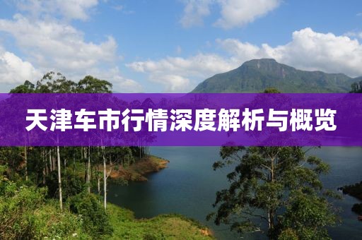 天津車市行情深度解析與概覽