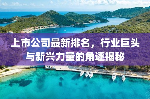 上市公司最新排名，行業(yè)巨頭與新興力量的角逐揭秘
