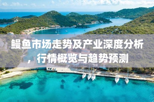 鰻魚(yú)市場(chǎng)走勢(shì)及產(chǎn)業(yè)深度分析，行情概覽與趨勢(shì)預(yù)測(cè)