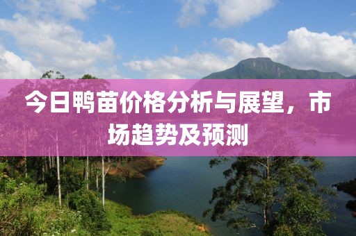 今日鴨苗價(jià)格分析與展望，市場(chǎng)趨勢(shì)及預(yù)測(cè)