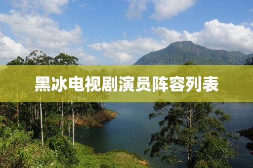 黑冰電視劇演員陣容列表