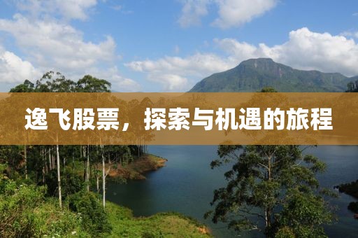 逸飛股票，探索與機(jī)遇的旅程