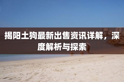 揭陽土狗最新出售資訊詳解，深度解析與探索