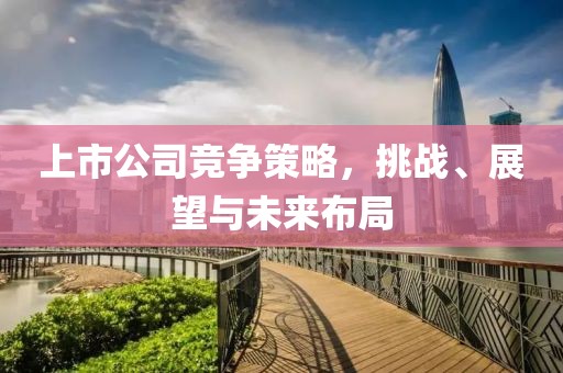 上市公司競爭策略，挑戰(zhàn)、展望與未來布局