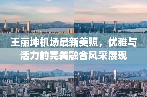 王麗坤機(jī)場最新美照，優(yōu)雅與活力的完美融合風(fēng)采展現(xiàn)